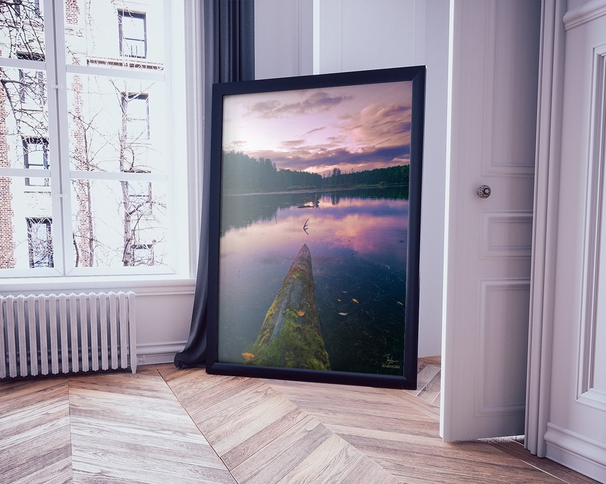 Limited Edition Prints