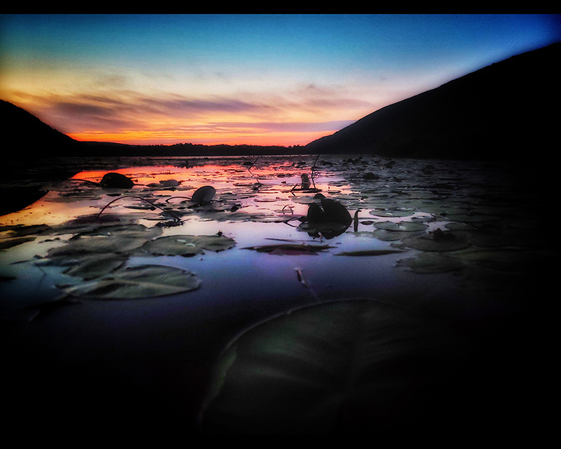 Lily Pad Lake