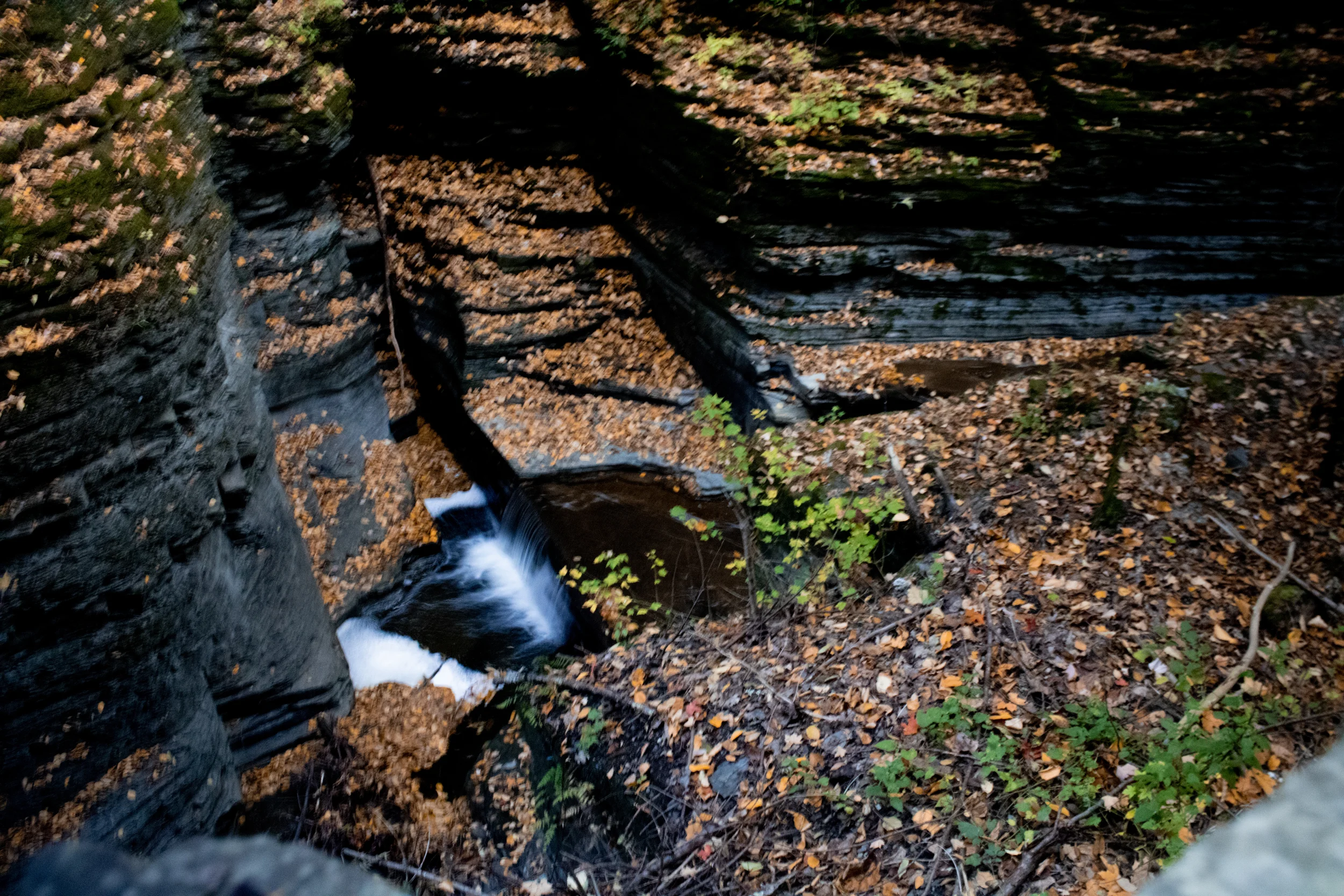 Related photograph