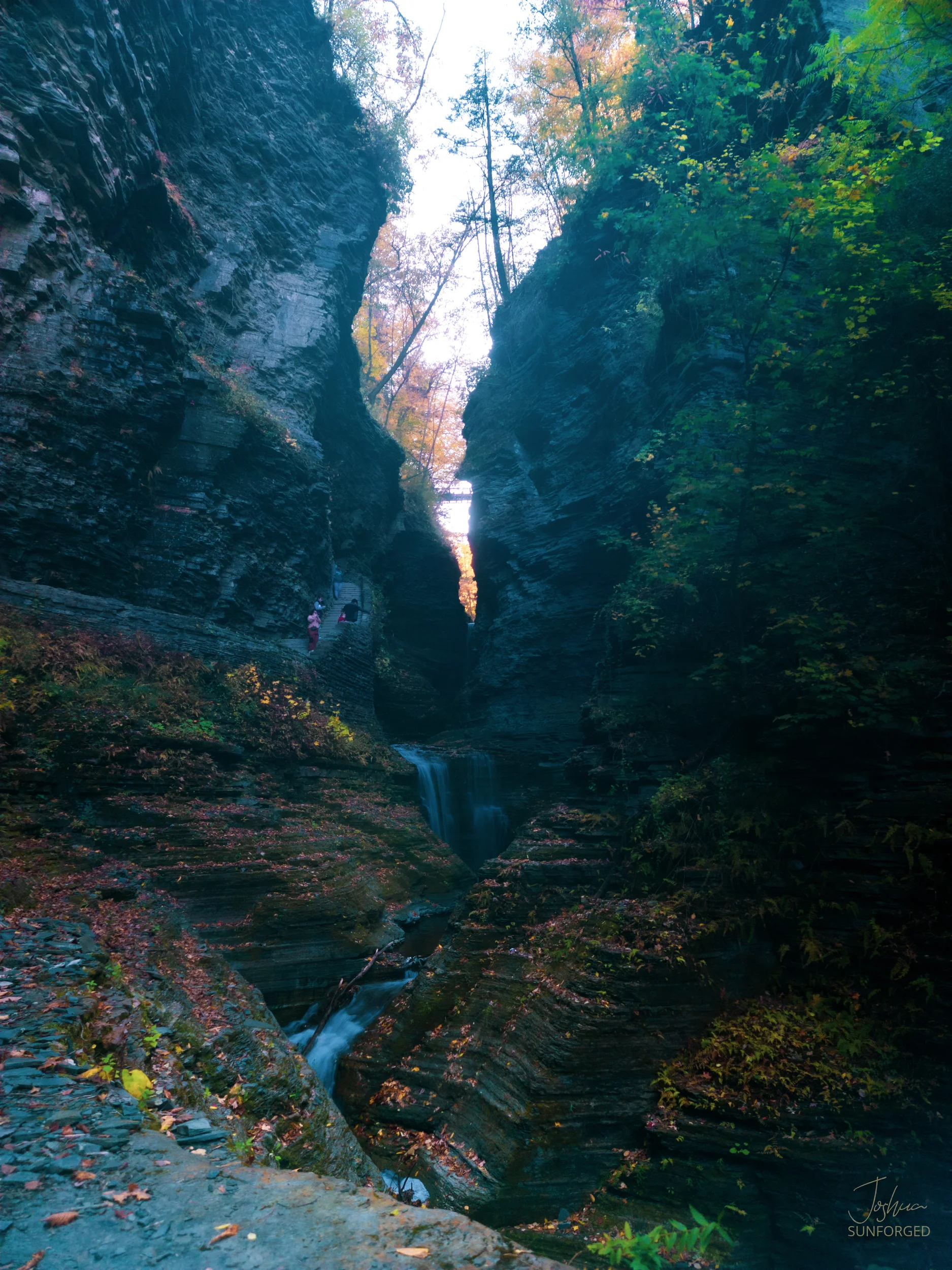 Watkins Glen State Park