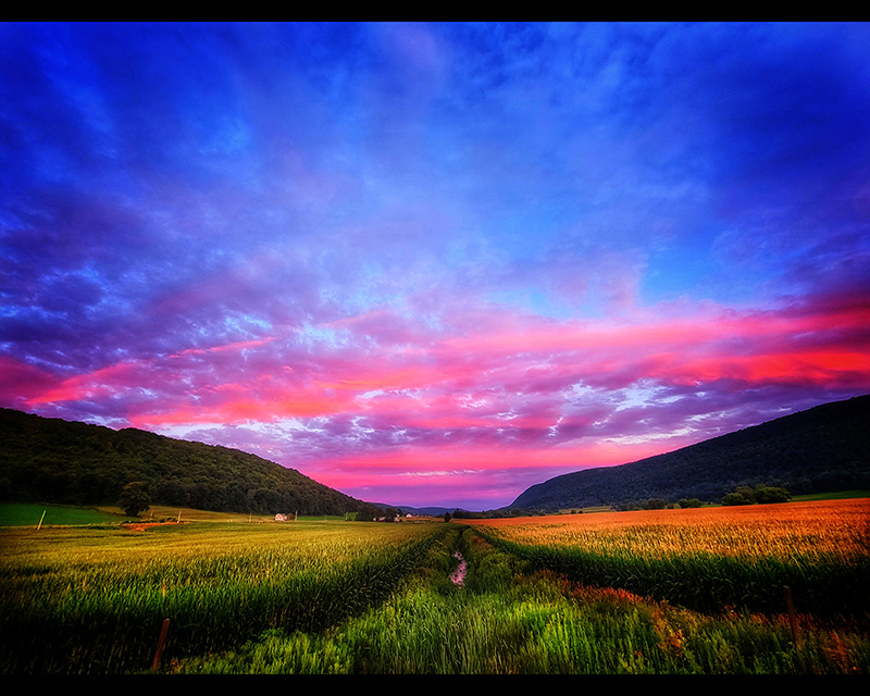 Pink Clouds — Otisco Lake