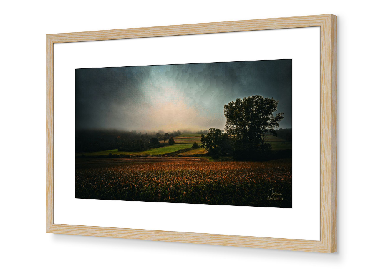Framed Plate 8
