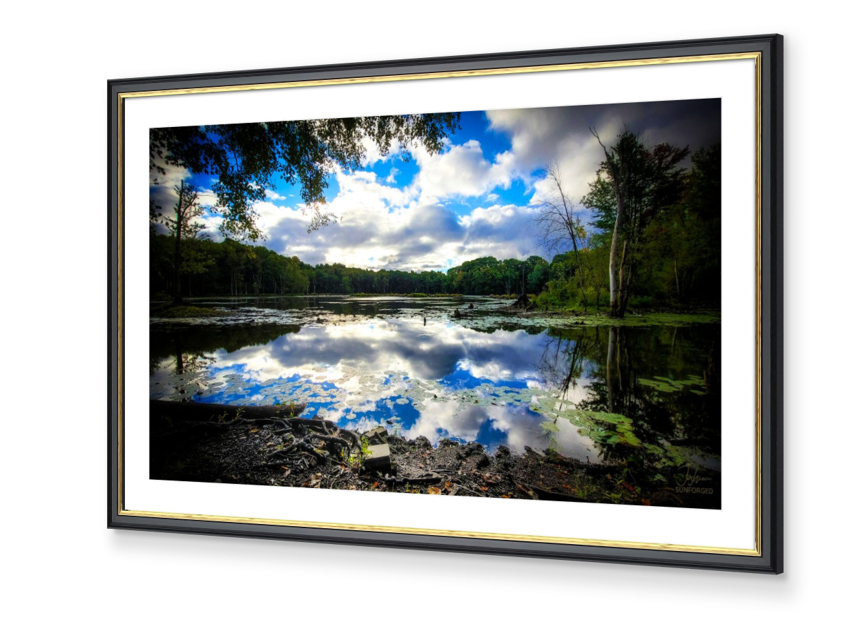 Framed Plate 12