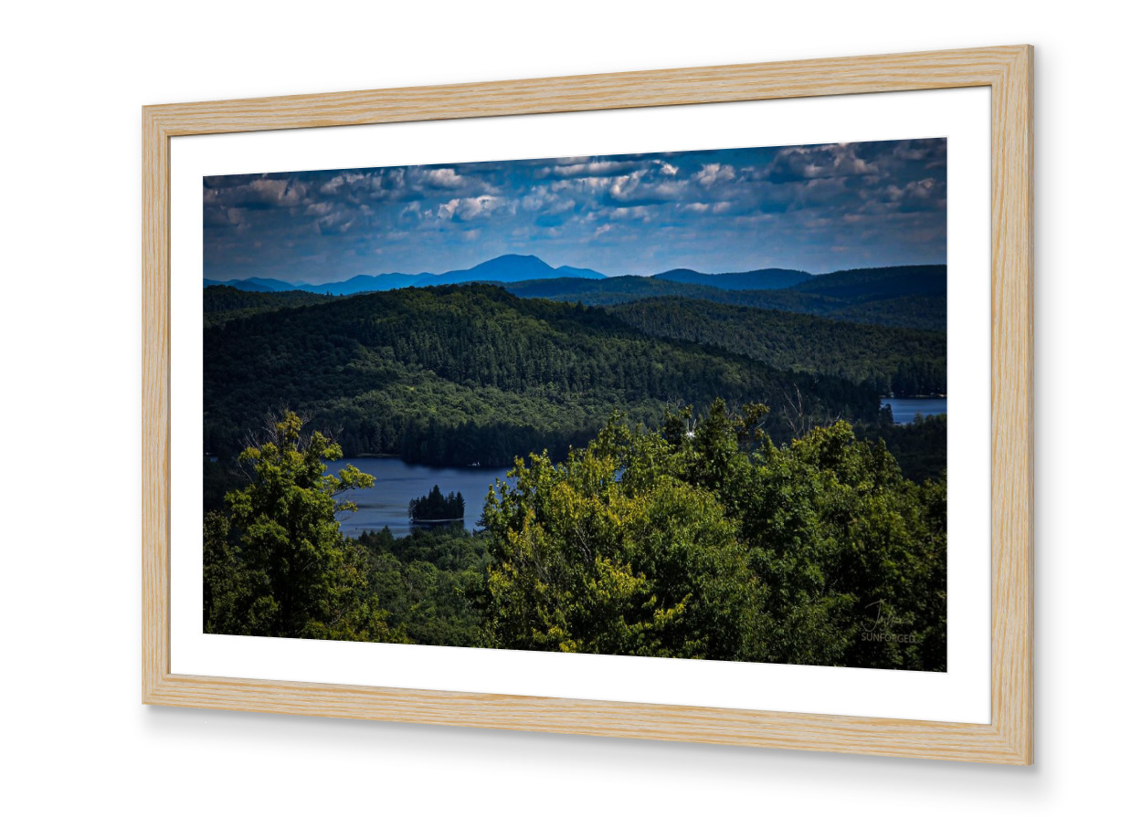 Framed Plate 17